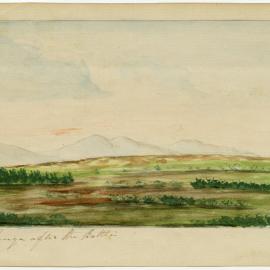 Te Ranga after the battle, Tauranga