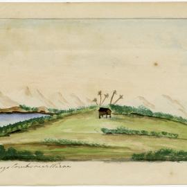 Māori tombs near Wairoa, Tauranga