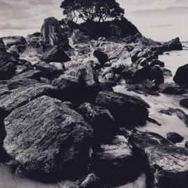 Pōhutukawa tree on rocks next to beach