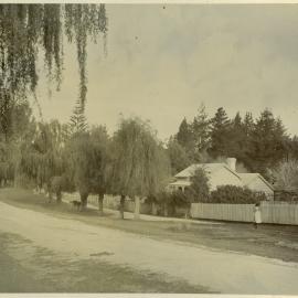 1st Avenue, Tauranga