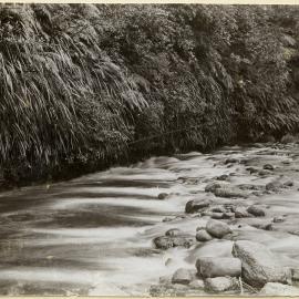 Marshalls Crossing, Hendley, Hawkes Bay