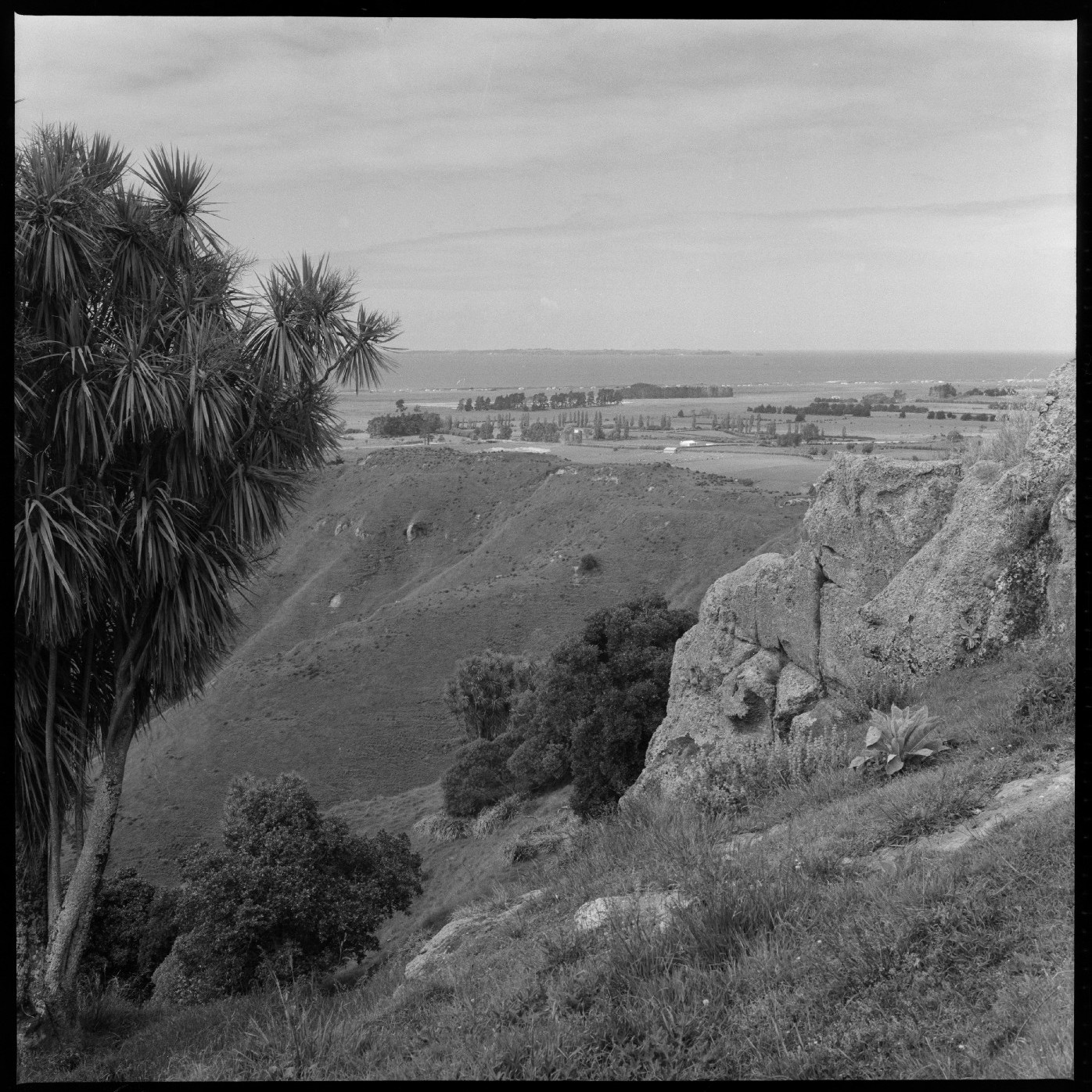 Pāpāmoa East: A Cultural Heritage Report