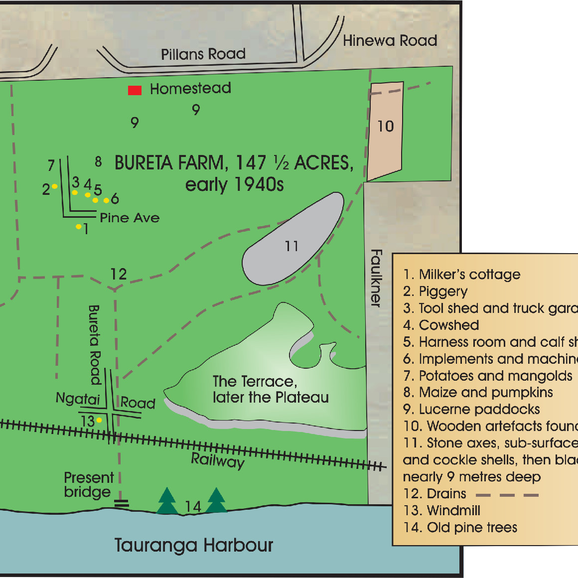 Bureta Farm in Tauranga (1900-1974)