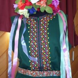 Costume parade - Tauranga Regional Multicultural Council event26