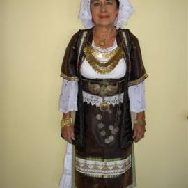 Costume parade - Tauranga Regional Multicultural Council event8