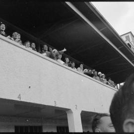 Tauranga Racing meet 