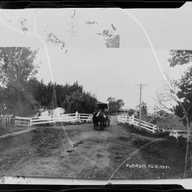 Reproduction: photo of horsedrawn carriage in Katikati