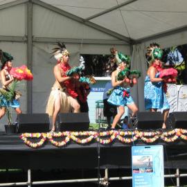Ethnic Festival Tauranga 2009 05