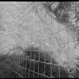 Photograph of fence