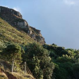 Mauao Northern slopes, Tauranga