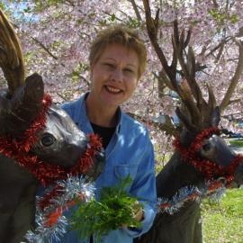 Christmas in Greerton Village (2005)