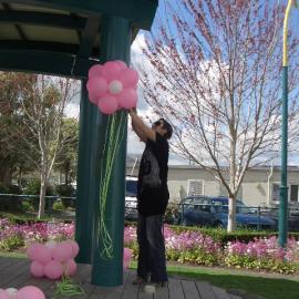 Cherry Blossom festival, Greerton, NZ 2011 54