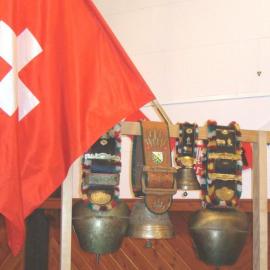Living in Harmony, Swiss Evening, TRMC event 2011 9