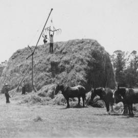 haystack 1938