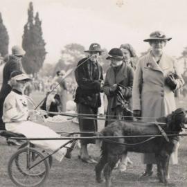 Dog cart 1936