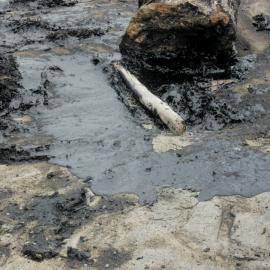 Rena Oil Spill: Papamoa Beach (13 October 2011)