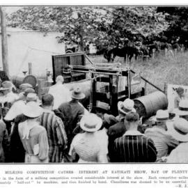 Milking competition, Katikati Show