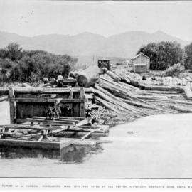 Discharging logs at Orini