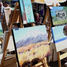 Tauranga Art Fair (2011)