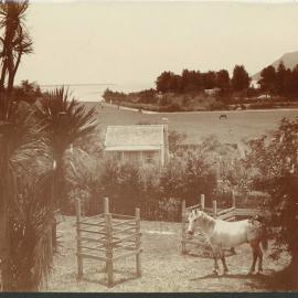 THE MISSION GROUNDS c 1900