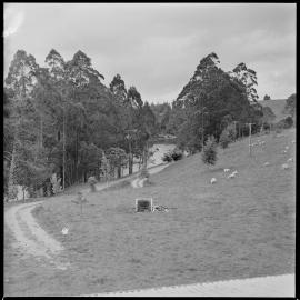 McLaren Falls Park.