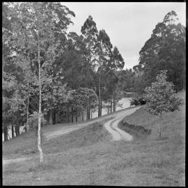 McLaren Falls Park