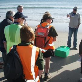 Demonstration debrief, Penguin release, Shark Alley, Mt Maunganui Nov 11