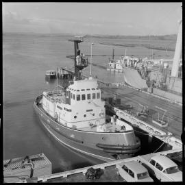 Tauranga Harbour Board's tug "Rotorua"