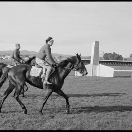 Riding work at Racecourse