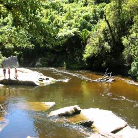 The amazing Pororari river
