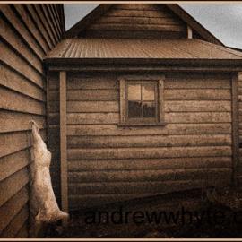 Backbone by Andrew Whyte (2012)