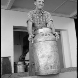 Te Puke. Mr Newman - been with Dairy Factory more than 40 years