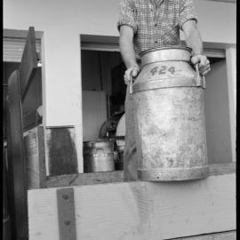 Te Puke. Mr Newman - been with Dairy Factory more than 40 years