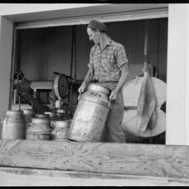 Te Puke. Mr Newman - been with Dairy Factory more than 40 years