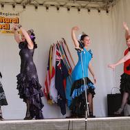 13th Multicultural Festival 2010 - Michael Williams photographer005