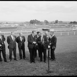Tauranga racecourse