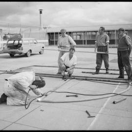 Working bee of Ōtūmoetai Intermediate School Parent-Teacher Association