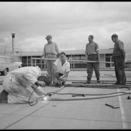 Working bee of Ōtūmoetai Intermediate School Parent-Teacher Association