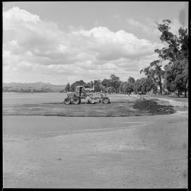 Improving beach at Memorial Park & 6th Avenue Motor Camp. 