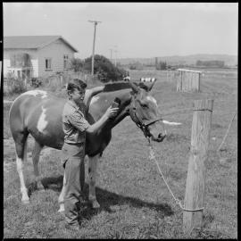Peter grooms Geronimo.