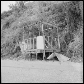 Vandals at work at Maungatapu.