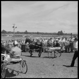 Harness racing. Single Direct.