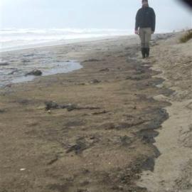 Rena oil spill photos of polluted beach  2012 0104