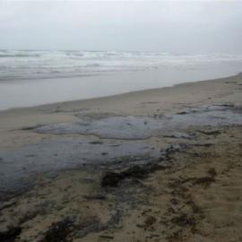 Rena oil spill photos of polluted beach  2012 0106