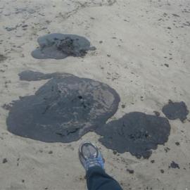 Rena oil spill photos of polluted beach  2012 0107
