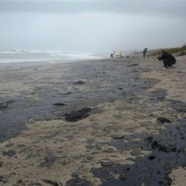 Rena oil spill photos of polluted beach  2012 0108