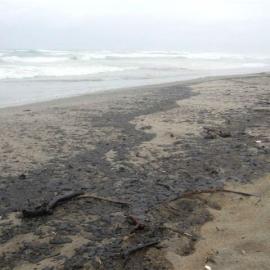 Rena oil spill photos of polluted beach  2012 0110
