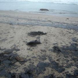 Rena oil spill photos of polluted beach  2012 0112