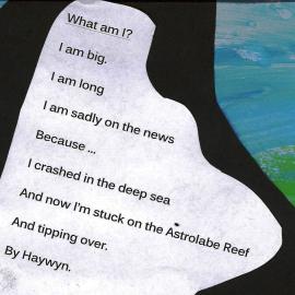 What am I? by Haywyn (Maungatapu School)
