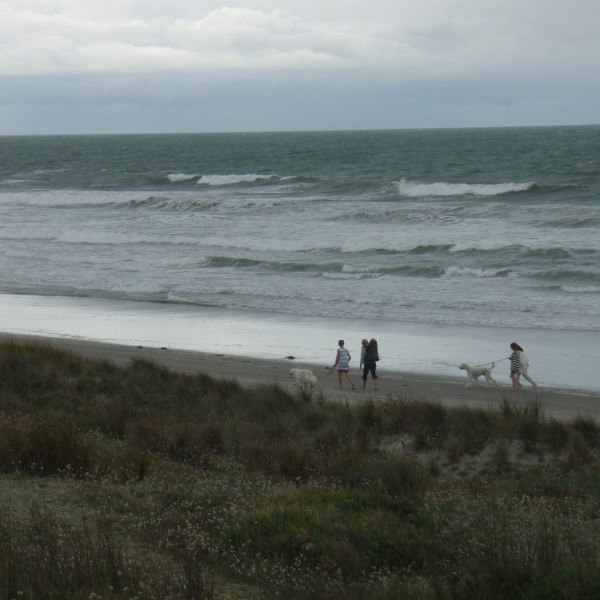 Reserve. Wairakei - Taylor Reserve (Place)